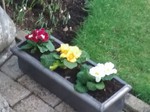 industrial look planter outside