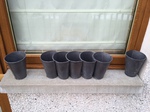 row of flowerpots